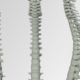 images of the spine, suggesting how flatback syndrome affects the body.
