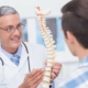 Smiling male doctor holding an anatomical spine model